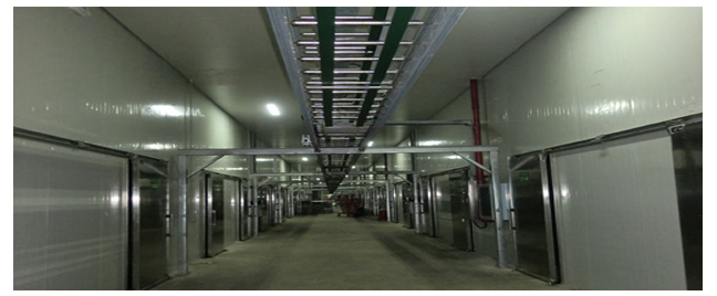 (Ningxia) science and technology bureau gave a notice to the commendation meeting for high-yield technological innovation of organic apricot abalone mushroom to Wang Xiaojun and Qu Anmin, technicians of the company